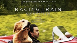 ภาพยนตร์ The Art of Racing in the Rain (2019) อุ่นไอหัวใจตูบ